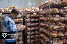 تولید گوشت مرغ در خوزستان با نظارت مستمر دامپزشکی، سلامت محور است